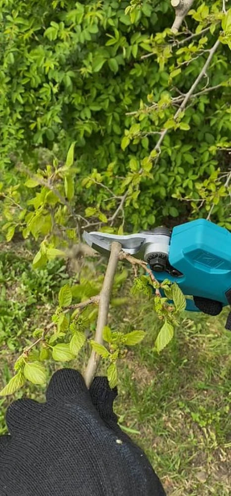 Переваги акумуляторного секатора 21V
